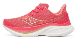 Кроссовки Saucony Endorphin Speed 5 W